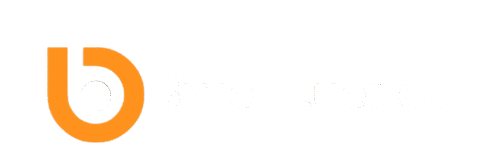 Byte Fluence Logo
